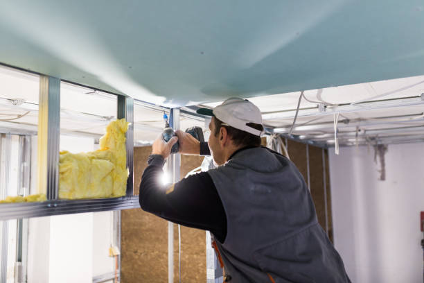 Best Types of Insulation in Ocala Estates, FL